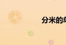 分米的单位（分米）