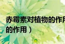 赤霉素对植物的作用高中生物（赤霉素对植物的作用）