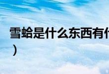 雪蛤是什么东西有什么效果（雪蛤是什么东西）