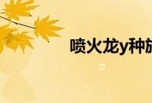 喷火龙y种族值（喷火龙Y）