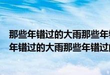 那些年错过的大雨那些年错过的爱情是哪首歌的歌词（那些年错过的大雨那些年错过的爱情）