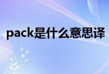pack是什么意思译（packaging什么意思）