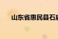 山东省惠民县石庙镇（山东省惠民县）