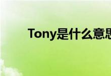 Tony是什么意思（toy是什么意思）