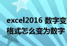 excel2016 数字变文本格式（excel数字文本格式怎么变为数字）