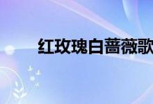 红玫瑰白蔷薇歌曲（红玫瑰白蔷薇）