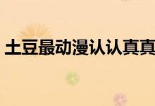 土豆最动漫认认真真依然动人（土豆最动漫）