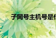 子网号主机号是什么（子网号主机号）