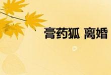 膏药狐 离婚（膏药狐的小说）