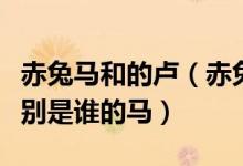 赤兔马和的卢（赤兔马乌骓马的卢马黄骠马分别是谁的马）