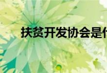扶贫开发协会是什么单位（扶贫开发）