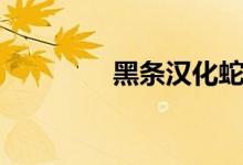 黑条汉化蛇姬（黑条汉化）