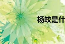 杨蛟是什么神（杨蛟）