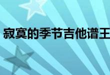 寂寞的季节吉他谱王鹰（寂寞的季节吉他谱）