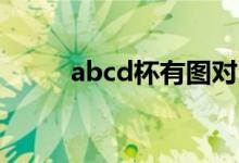 abcd杯有图对比(b罩杯有多大)