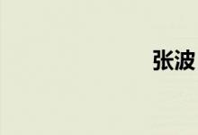 张波（zhan）