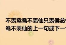 不羡鸳鸯不羡仙只羡侯总每一天讲的是哪个电视剧（只羡鸳鸯不羡仙的上一句或下一句是什么啊）