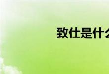 致仕是什么意思（致仕）