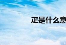疋是什么意思（pi是什么）