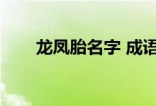 龙凤胎名字 成语（龙凤胎取名成语）