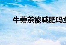 牛蒡茶能减肥吗女性（牛蒡茶能减肥）