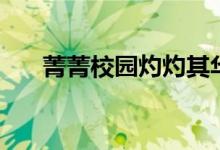 菁菁校园灼灼其华的意思(菁菁校园)