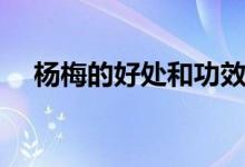 杨梅的好处和功效与作用（杨梅的好处）