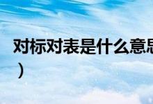 对标对表是什么意思呀（对标对表是什么意思）
