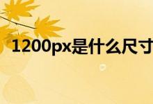1200px是什么尺寸（1200px是什么意思）