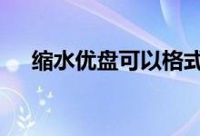缩水优盘可以格式化吗（缩水u盘能用）