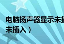 电脑扬声器显示未插上怎么解决（扬声器显示未插入）