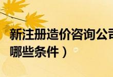 新注册造价咨询公司(注册造价咨询公司需要哪些条件)