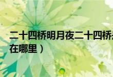 二十四桥明月夜二十四桥是指（二十四桥明月夜的二十四桥在哪里）