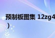 预制板图集 12zg401（12zg401预制板图集）