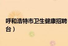 呼和浩特市卫生健康招聘（呼和浩特市基层公共卫生服务平台）