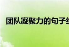 团队凝聚力的句子经典（表示团结的成语）
