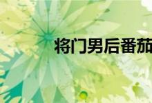 将门男后番茄小说（将门男后）