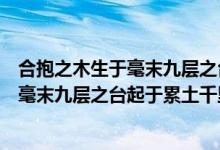 合抱之木生于毫末九层之台起于累土的含义（合抱之木生于毫末九层之台起于累土千里之行）