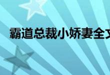霸道总裁小娇妻全文阅读（总裁的小娇妻）