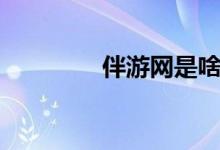 伴游网是啥（伴游友官网）