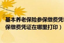 基本养老保险参保缴费凭证在哪里打印啊（基本养老保险参保缴费凭证在哪里打印）