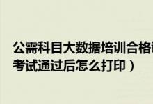 公需科目大数据培训合格证在哪里打（公需科目大数据培训考试通过后怎么打印）