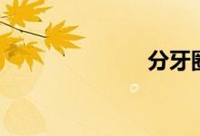 分牙圈(分牙)