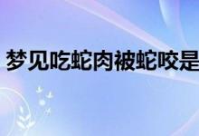 梦见吃蛇肉被蛇咬是什么意思（梦见吃蛇肉）