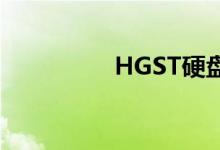 HGST硬盘（hgst硬盘）