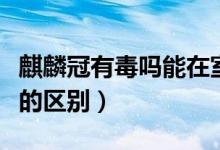 麒麟冠有毒吗能在室内养吗（麒麟掌和麒麟冠的区别）