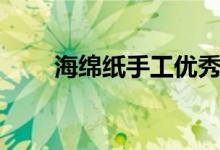 海绵纸手工优秀作品（海绵纸手工）