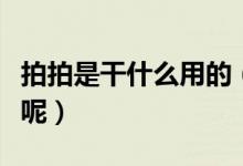 拍拍是干什么用的（谁能给个拍拍拍链接看看呢）