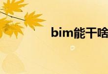 bim能干啥（bim有用吗）