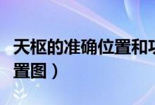 天枢的准确位置和功效图片（天枢穴的准确位置图）
